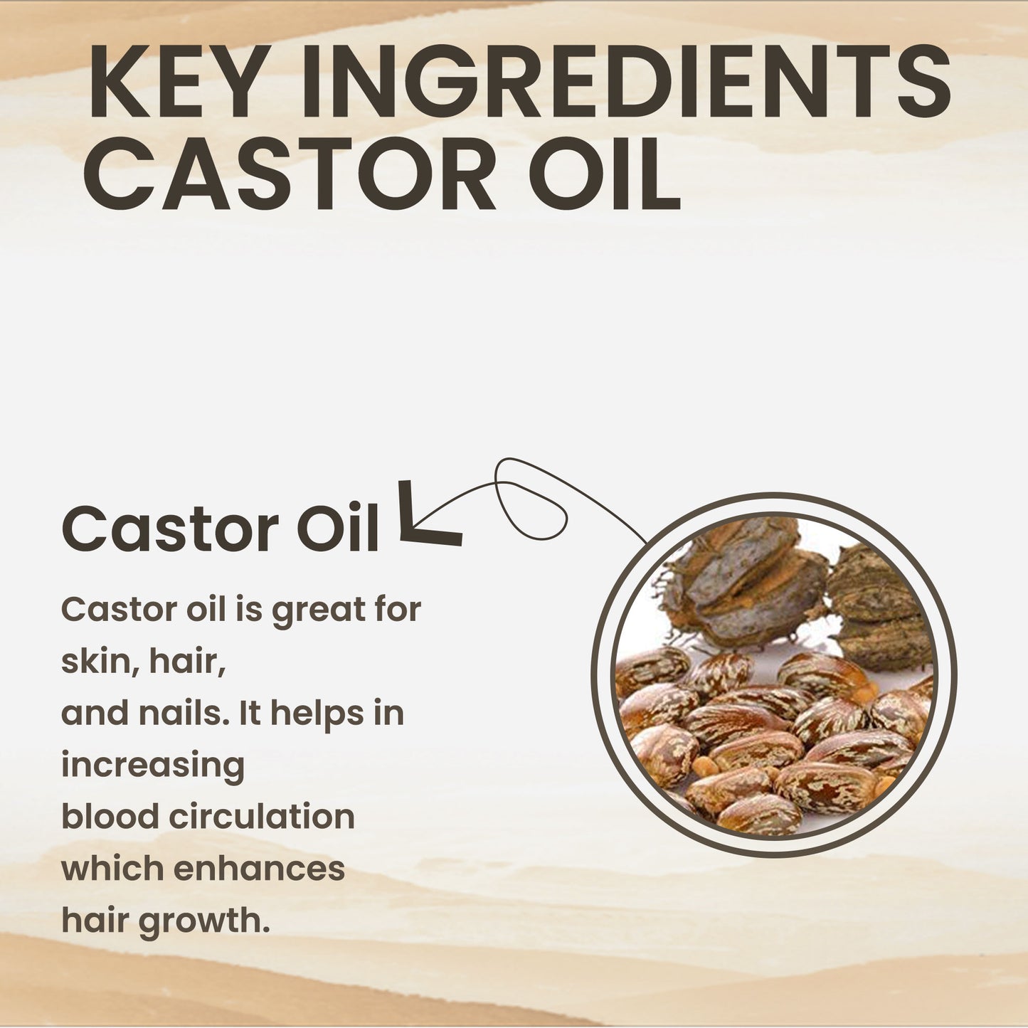 Cold Pressed Pure Castor Hair Oil (200 ml) for Hairfall Control