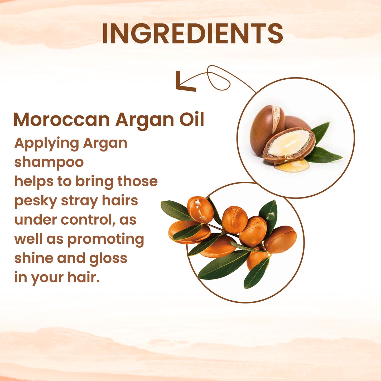 Moroccan Argan Hair Shampoo (300ml) for Hair Growth