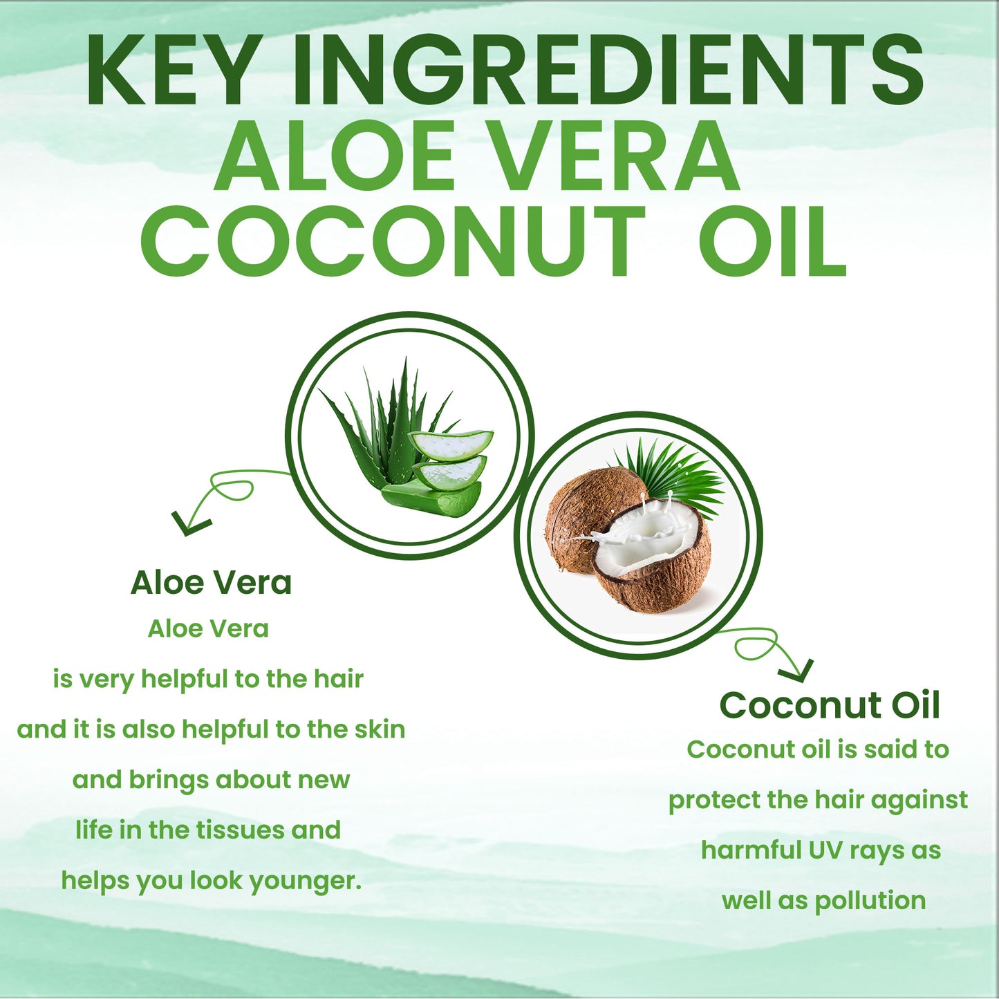 Aloe Vera Coconut Hair Oil (200 ml) With Natural Herb Extracts